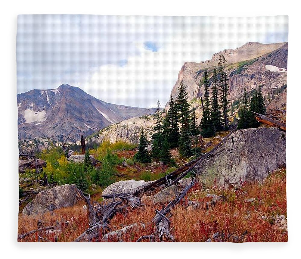 Colorado Fleece Blanket featuring the photograph Colorado Autumn Color Landscape by Cascade Colors