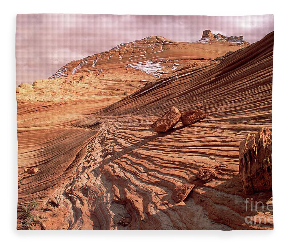 00343646 Fleece Blanket featuring the photograph Colorado Plateau Sandstone Arizona by Yva Momatiuk and John Eastcott