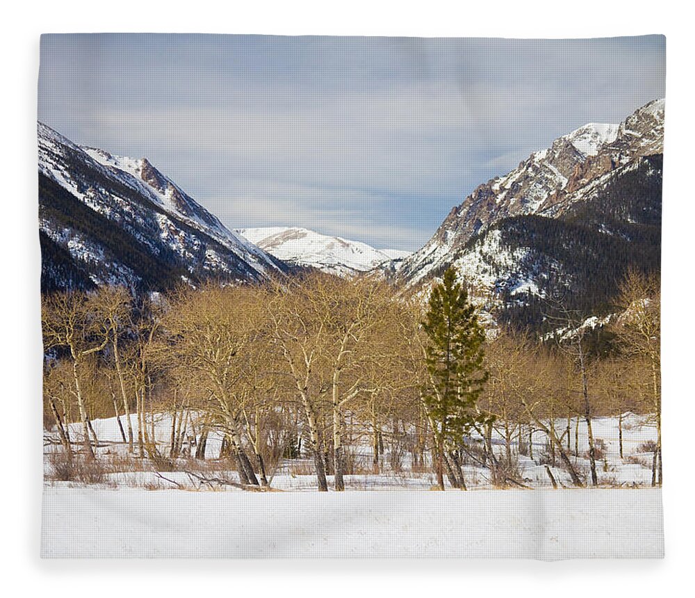 Trees Fleece Blanket featuring the photograph Colorado Rocky Mountain Winter Horseshoe Park by James BO Insogna