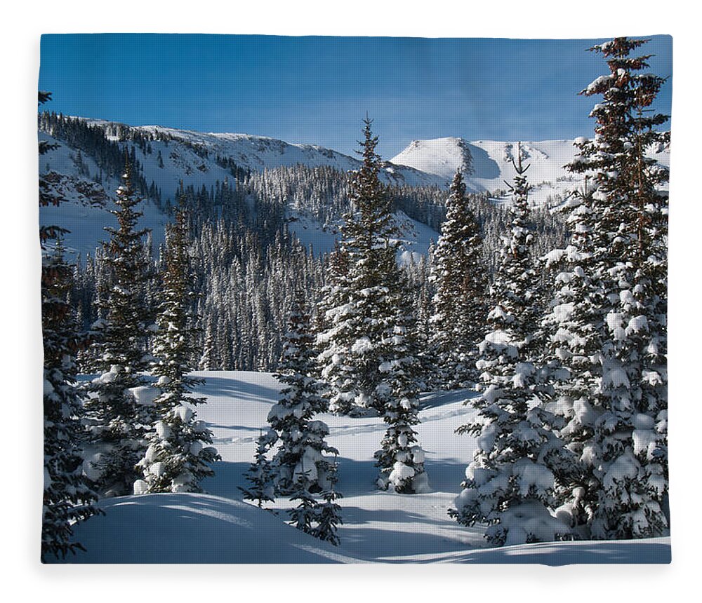 Colorado Fleece Blanket featuring the photograph Colorado Winter Landscape by Cascade Colors
