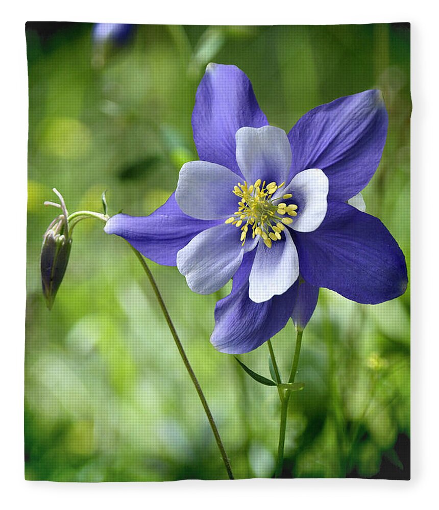 Blossums Fleece Blanket featuring the photograph Columbine card by OLena Art by Lena Owens - Vibrant DESIGN