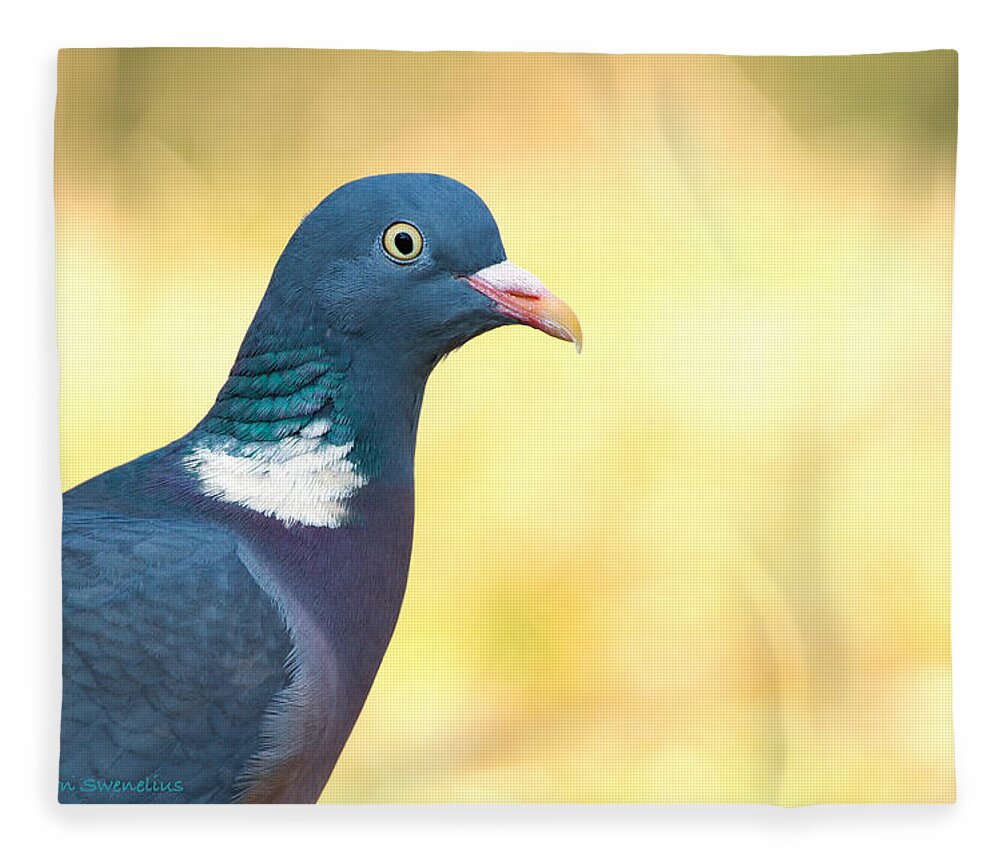 Common Wood Pigeon Fleece Blanket featuring the photograph Common Wood Pigeon by Torbjorn Swenelius