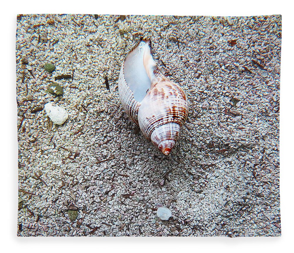 Nature Fleece Blanket featuring the photograph Conch Shell 1 by Jean Macaluso