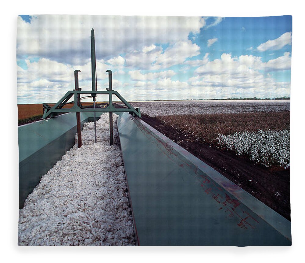 Scenics Fleece Blanket featuring the photograph Cotton Harvesting by Ooyoo