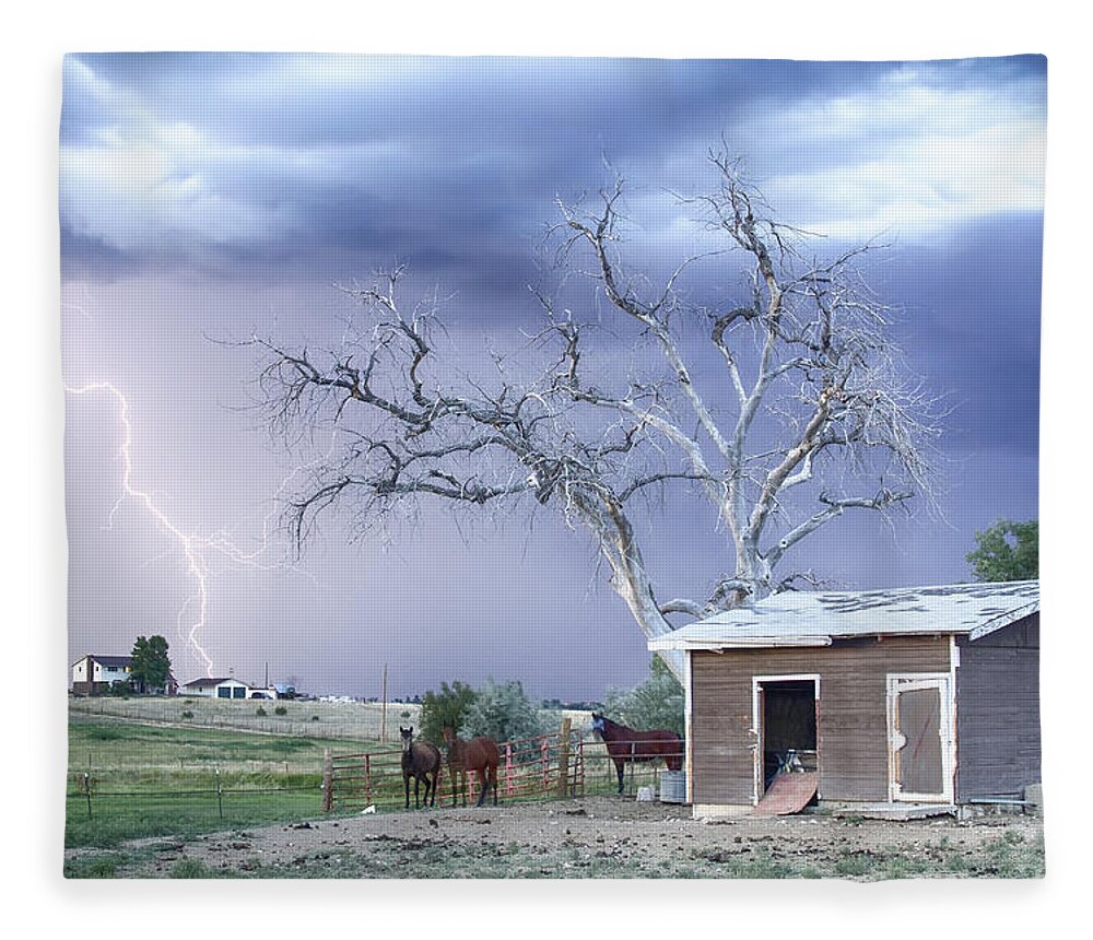 Country Fleece Blanket featuring the photograph Country Horses Lightning Storm CO  by James BO Insogna