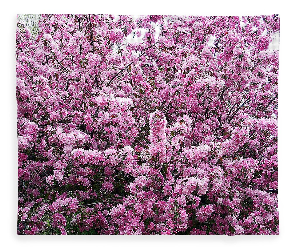 Crab Apple Tree Fleece Blanket featuring the photograph Crab Apple Tree by Aimee L Maher ALM GALLERY