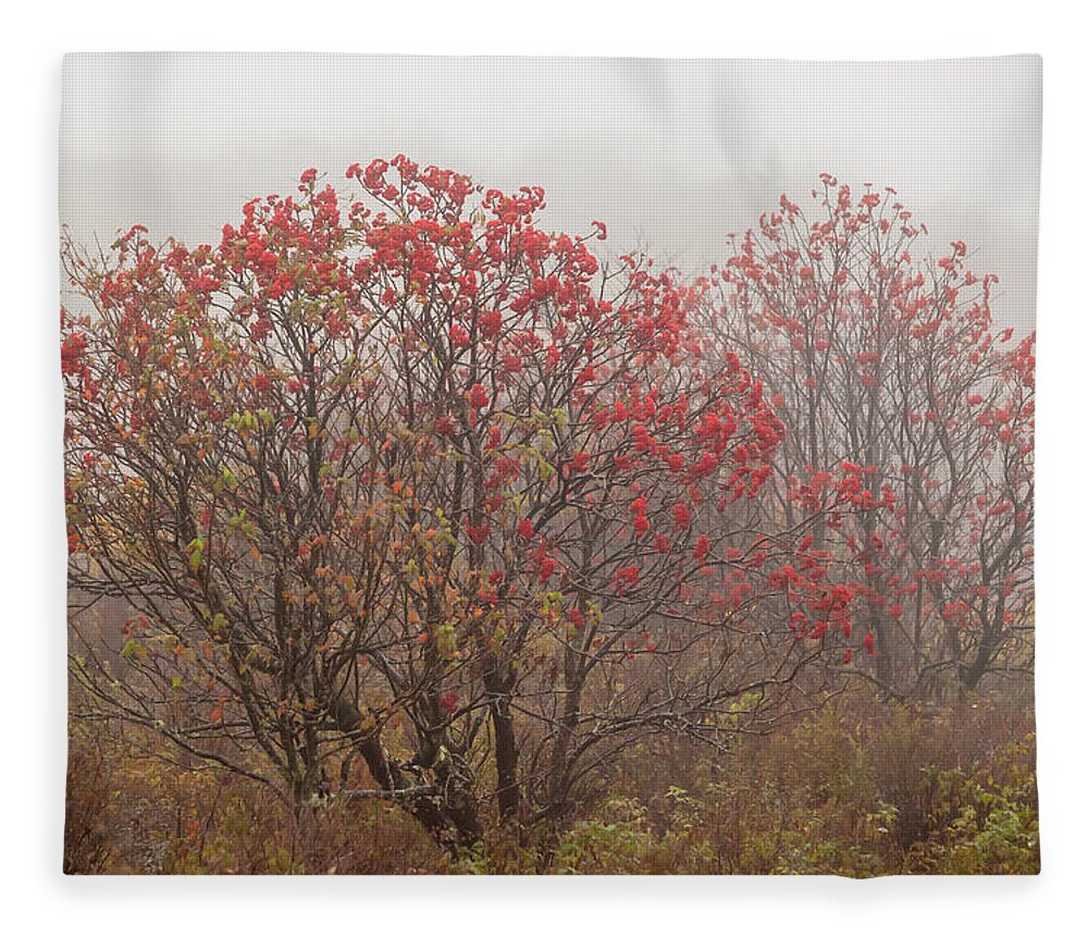 2013 Fleece Blanket featuring the photograph Crimson Fog by Melinda Ledsome