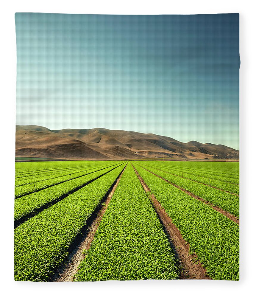 Environmental Conservation Fleece Blanket featuring the photograph Crops Grow On Fertile Farm Land by Pgiam