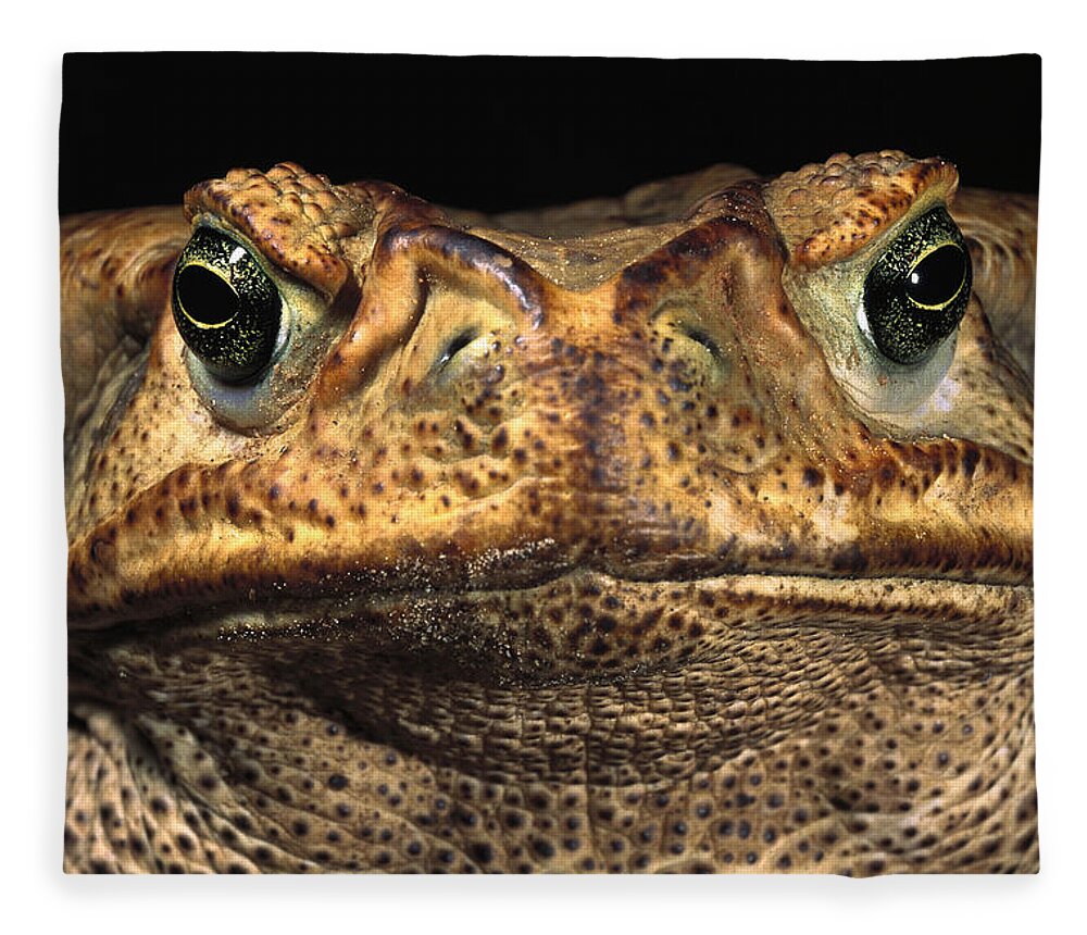 Feb0514 Fleece Blanket featuring the photograph Cururu Toad Face Brazil by Pete Oxford