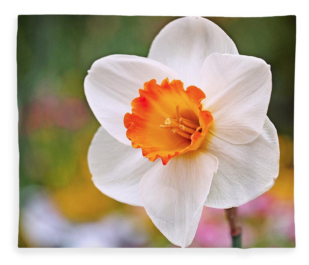 Daffodil Fleece Blanket featuring the photograph Daffodil by Rona Black