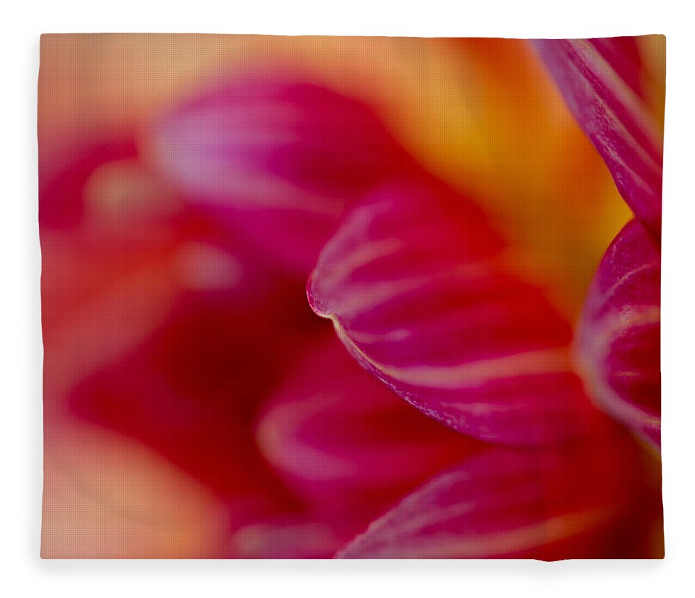 Floral Fleece Blanket featuring the photograph Dahlia Abstract by Mary Jo Allen