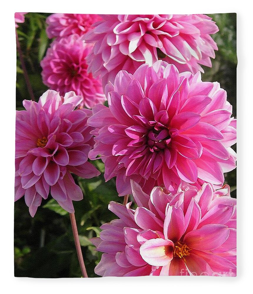 Mccombie Fleece Blanket featuring the painting Dahlia named Lucky Number by J McCombie