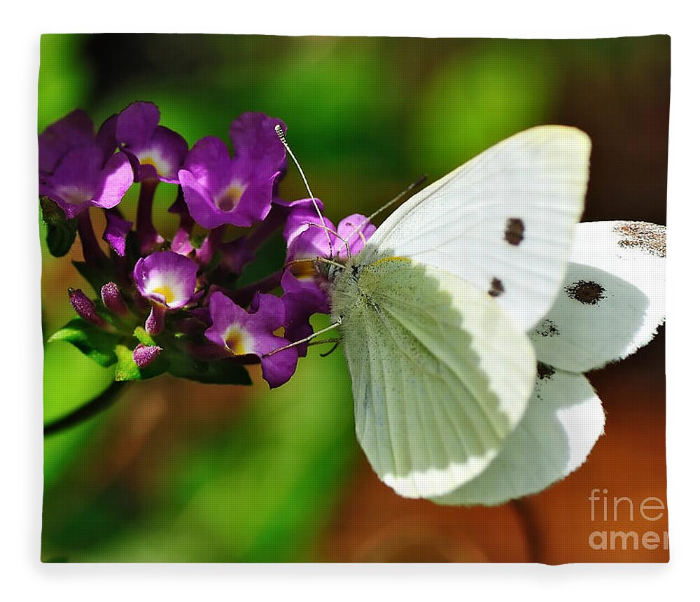 Photography Fleece Blanket featuring the photograph Dainty Butterfly by Kaye Menner