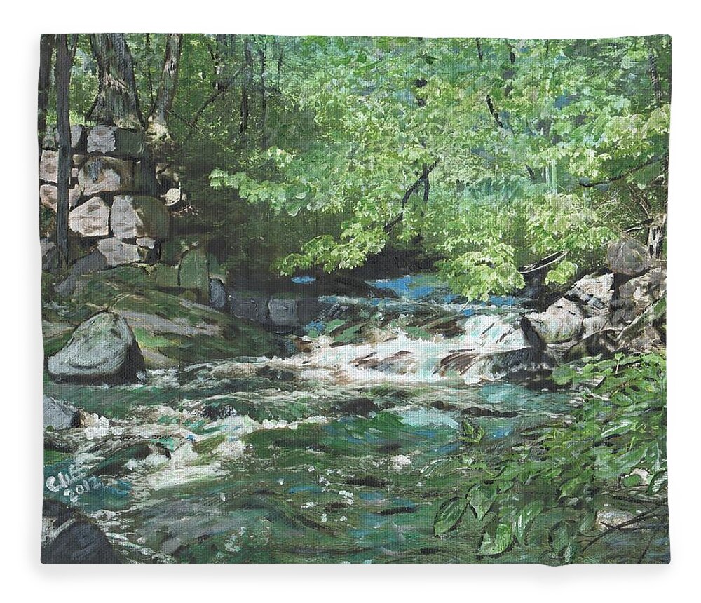 River Fleece Blanket featuring the painting Dam Site by Cliff Wilson