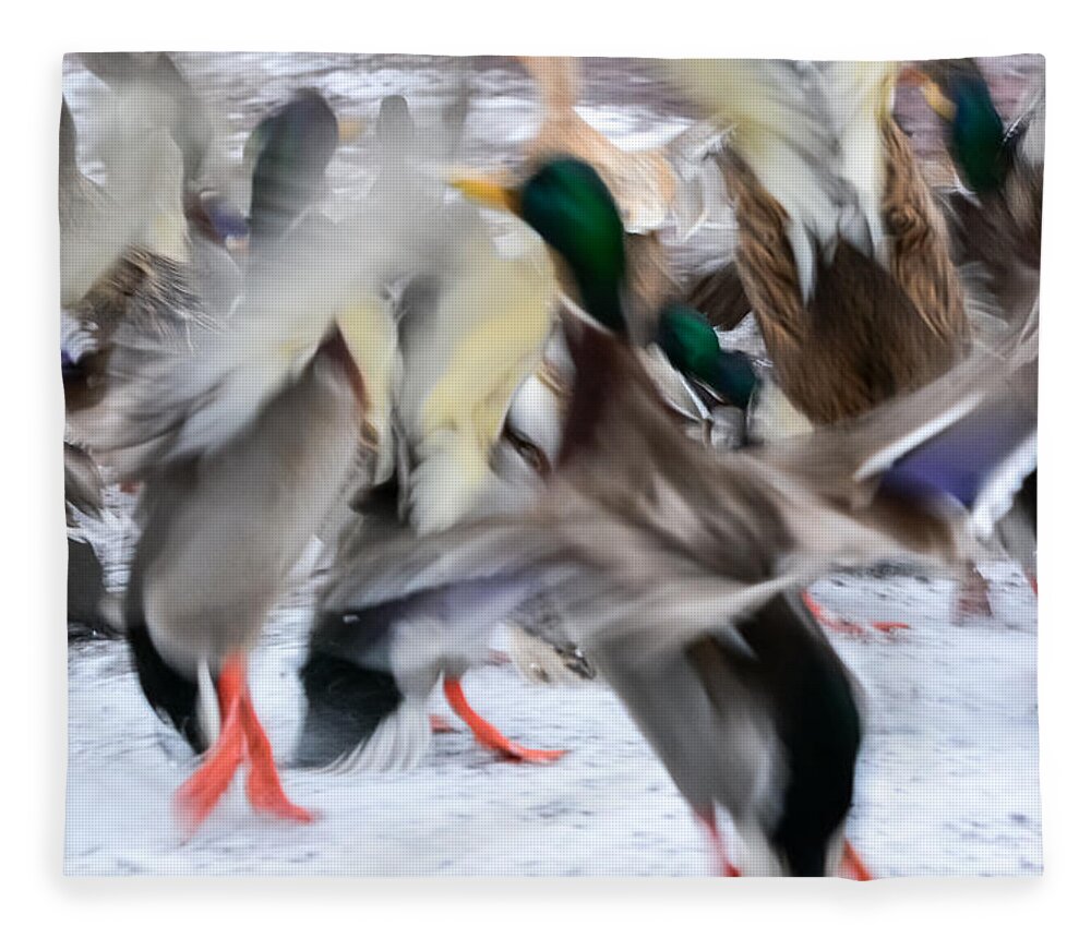 Mallards Fleece Blanket featuring the photograph Dancing Ducks by Holden The Moment
