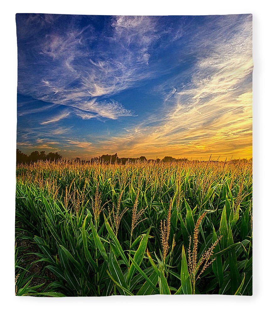 Corn Fleece Blanket featuring the photograph Dancing in the Rows by Phil Koch