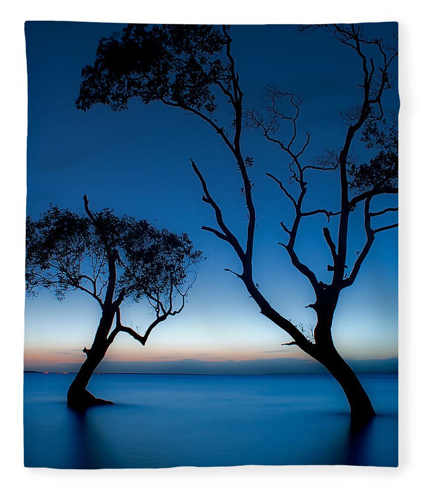 2012 Fleece Blanket featuring the photograph Dancing Mangroves by Robert Charity