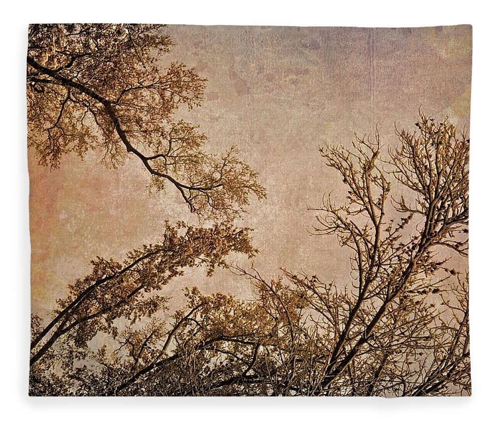 Landscape Fleece Blanket featuring the photograph Dancing Trees by Carol Whaley Addassi