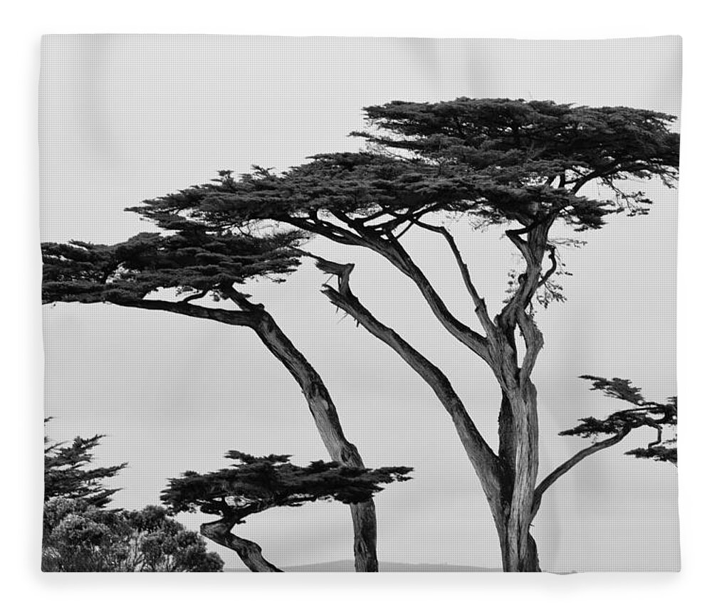 2012 Fleece Blanket featuring the photograph Dark Cypress by Melinda Ledsome