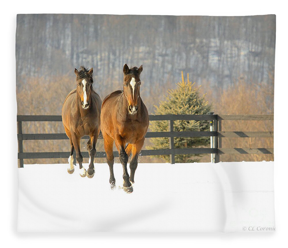 Horses Fleece Blanket featuring the photograph Dashing through the Snow by Carol Lynn Coronios