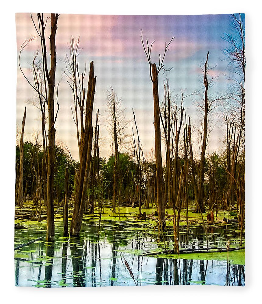 Michigan Fleece Blanket featuring the photograph Daylight in the Swamp by Lars Lentz