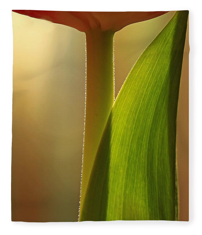 Flower Fleece Blanket featuring the photograph Vertical Tulip by Bob Cournoyer