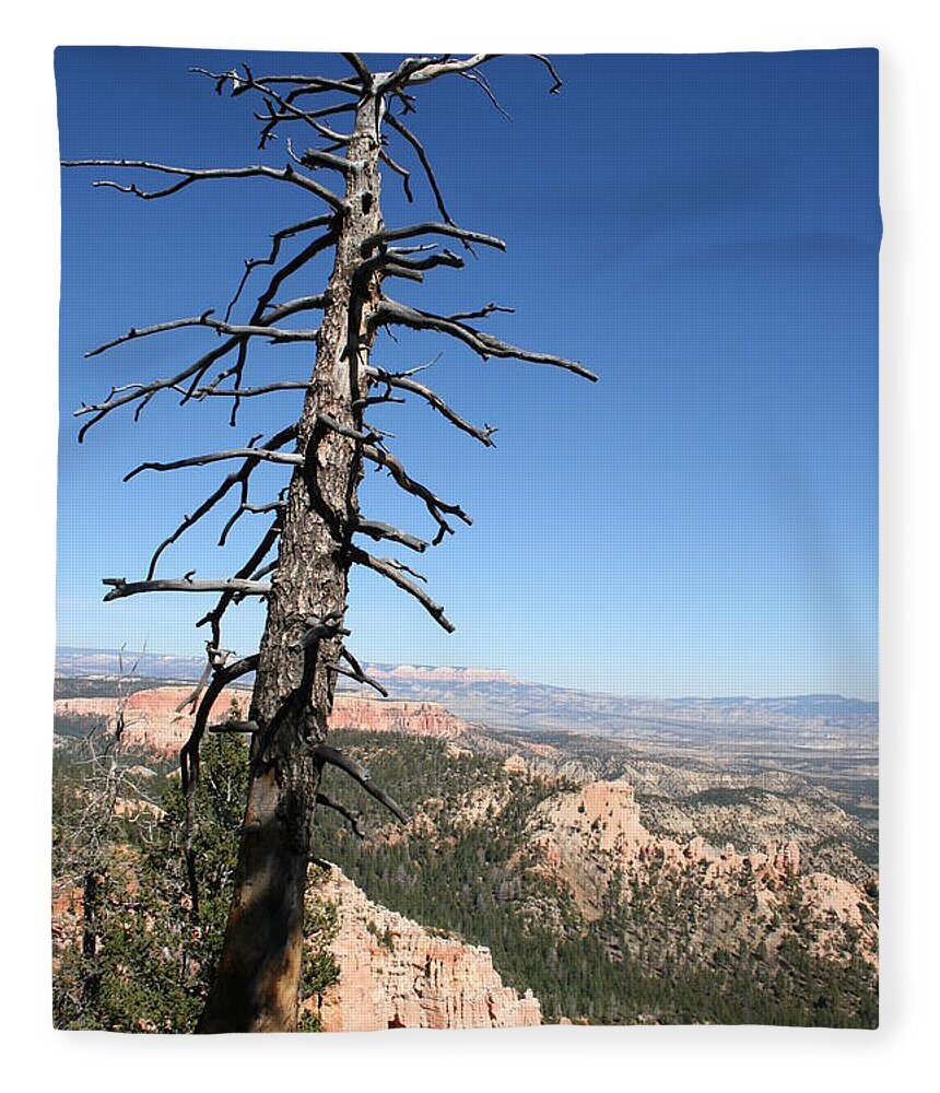 Tree Fleece Blanket featuring the photograph Dead Tree At Bryce Canyon Overlook by Christiane Schulze Art And Photography