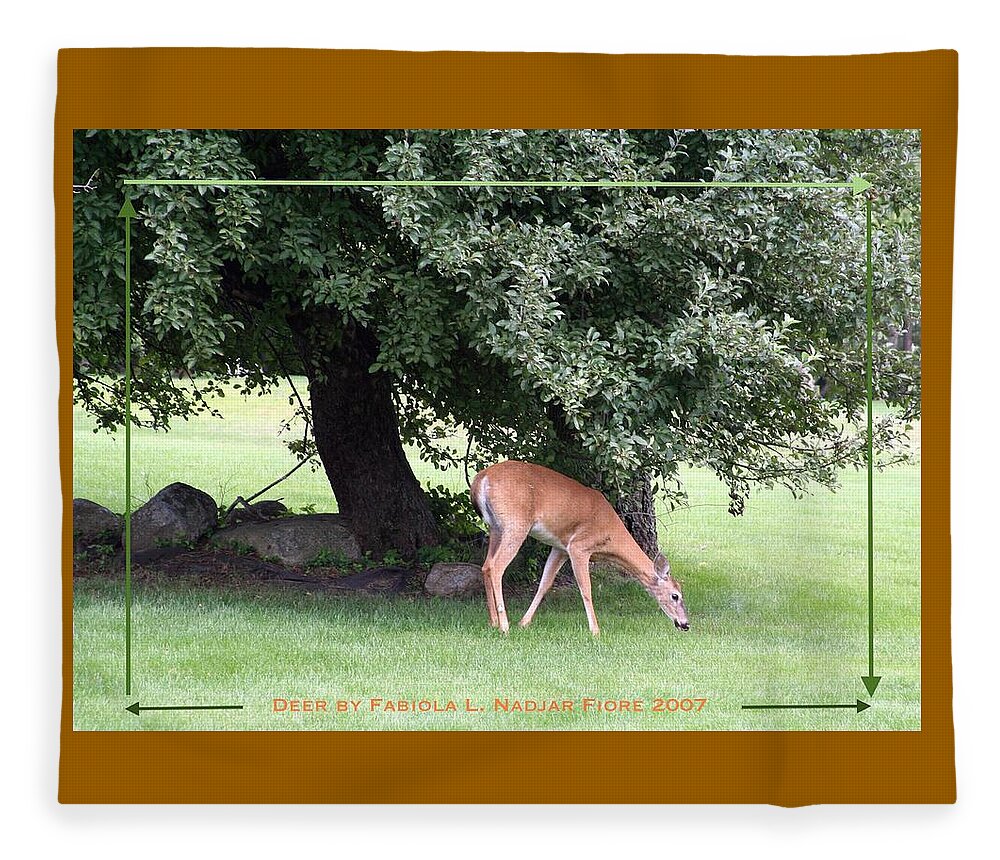 Deer Fleece Blanket featuring the photograph Deer Solo Grass by Fabiola L Nadjar Fiore