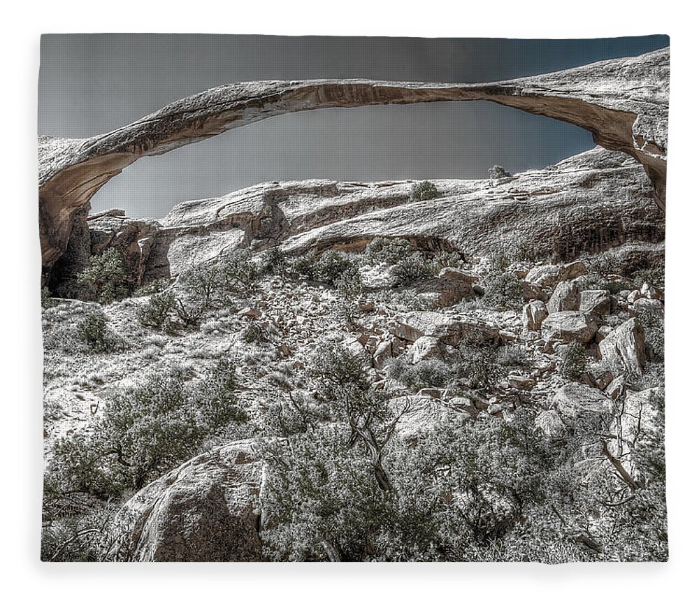 Utah Fleece Blanket featuring the photograph Delicate Stone by Richard Gehlbach