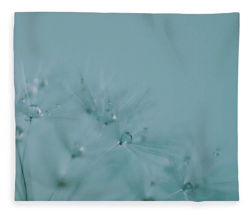 Dandelion Fleece Blanket featuring the photograph Dew Drops on Dandelion Seeds by Marianna Mills