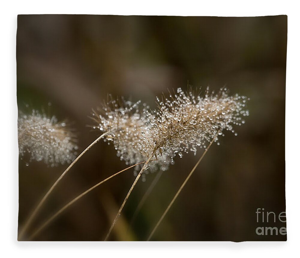 Dew Fleece Blanket featuring the photograph Dew on Ornamental Grass No. 2 by Belinda Greb