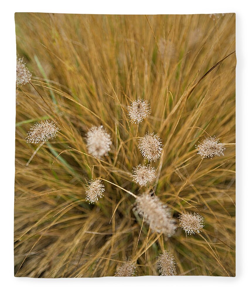 Dew Fleece Blanket featuring the photograph Dew on Ornamental Grass No. 3 by Belinda Greb