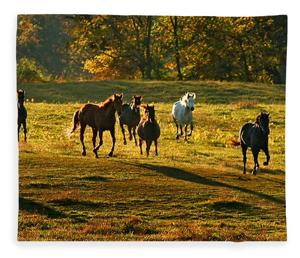 Horses Fleece Blanket featuring the photograph Dinner Bell by Carol Lynn Coronios