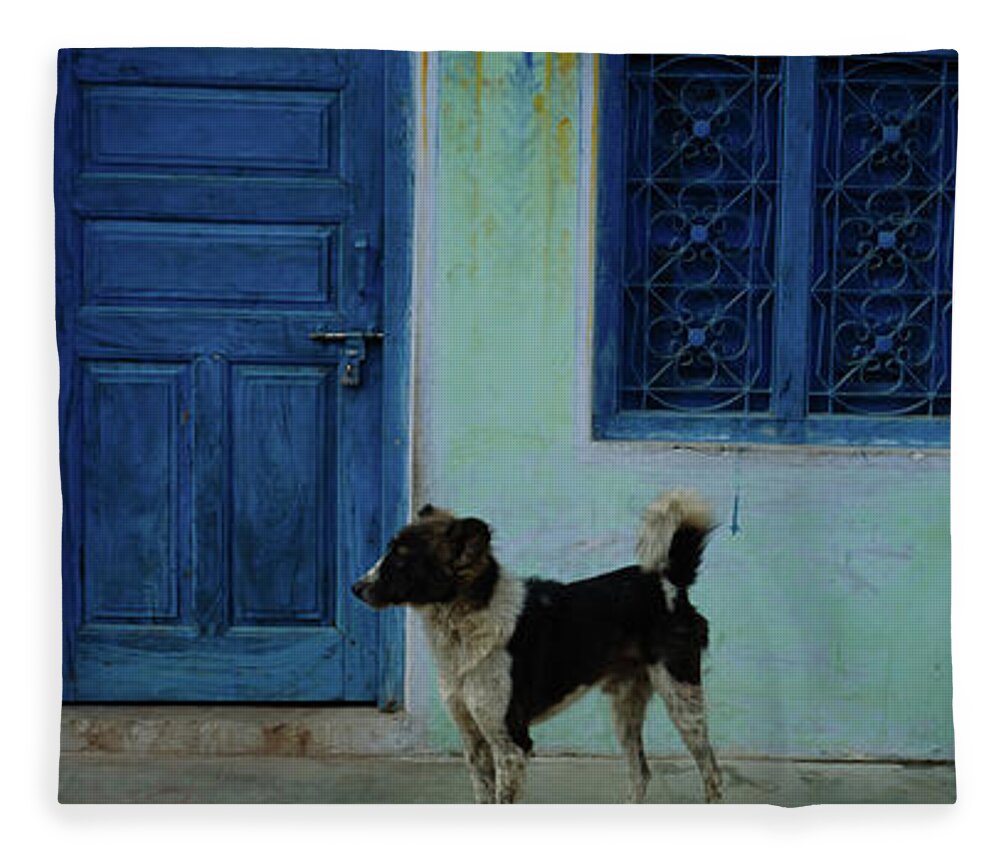 Photography Fleece Blanket featuring the photograph Dog In Front Of A House, Rajasthan by Animal Images