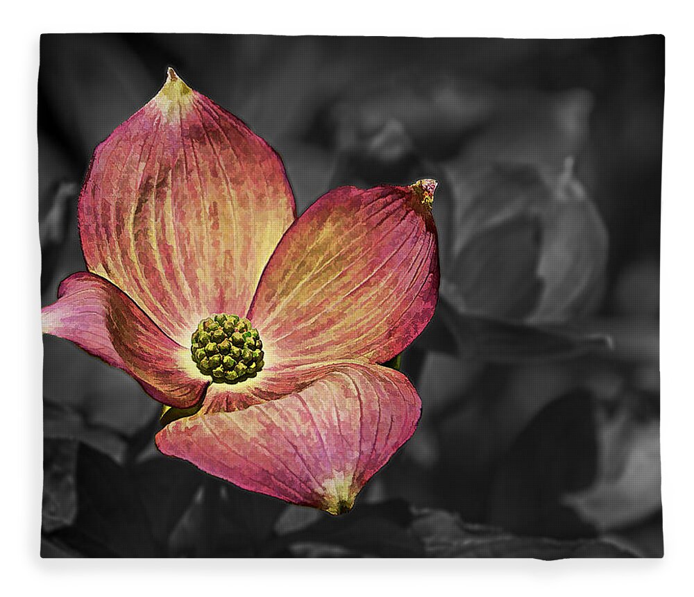 Ron Roberts Fleece Blanket featuring the photograph Dogwood Bloom by Ron Roberts