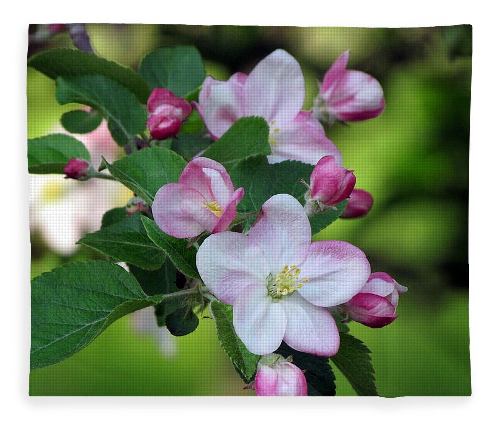Door County Fleece Blanket featuring the photograph Door County Apple Blossoms by David T Wilkinson