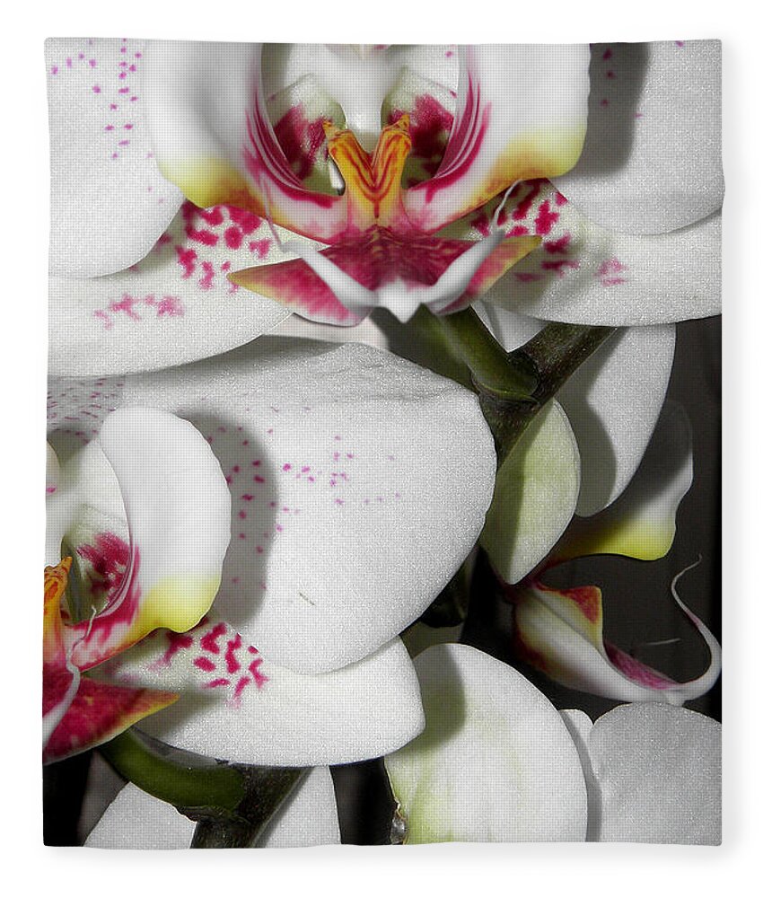 White Orchids Fleece Blanket featuring the photograph Dots and Splashes of Pink on Orchid by Kim Galluzzo Wozniak