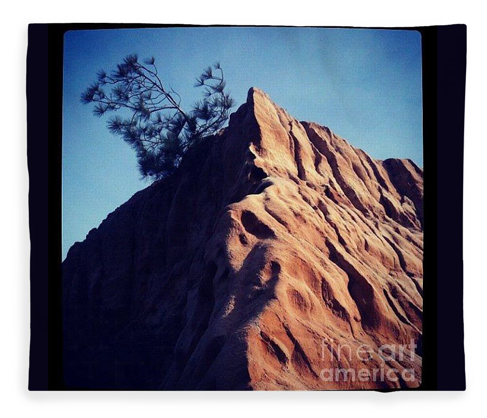 Torrey Pines Preserve Fleece Blanket featuring the photograph Dramatic Bluff by Denise Railey