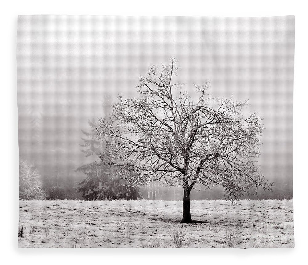 Landscape Fleece Blanket featuring the photograph Dreaming Of Life To Come by Rory Siegel