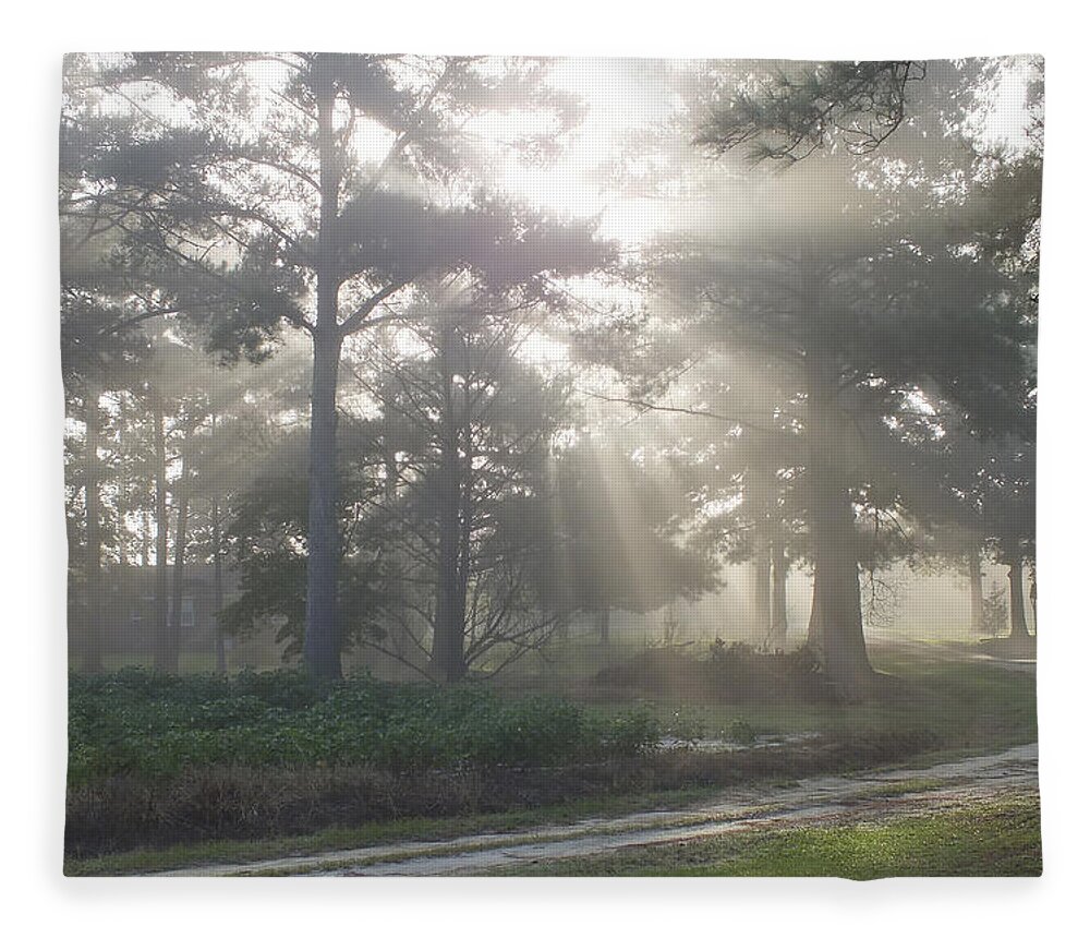Driveway To Paradise Fleece Blanket featuring the photograph Driveway to Paradise by Mike McGlothlen