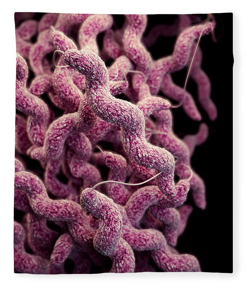 Drug Resistant Fleece Blanket featuring the photograph Drug-resistant Campylobacter by Science Source