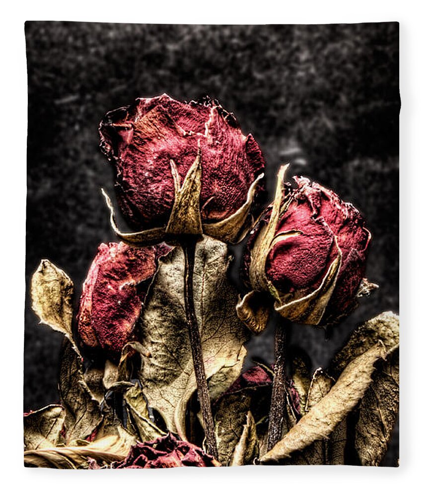Dry Roses Fleece Blanket featuring the photograph Dry Roses In Black by Weston Westmoreland