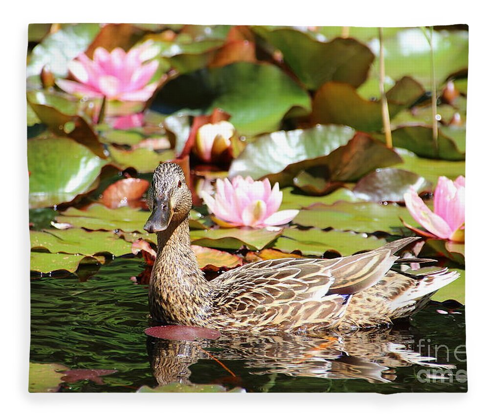 Lilies Fleece Blanket featuring the photograph Duck in the Water Lilies by Amanda Mohler