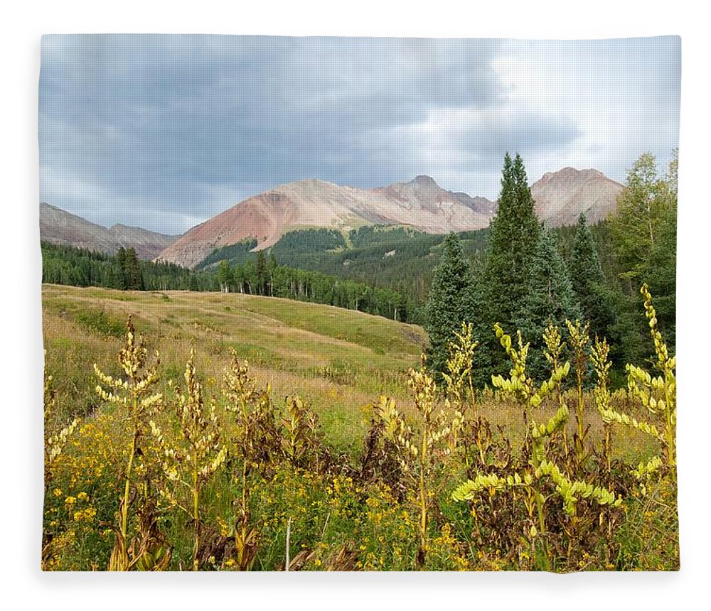 San Juans Fleece Blanket featuring the photograph Early Autumn in the San Juans - Mount Wilson and Wilson Peak by Cascade Colors