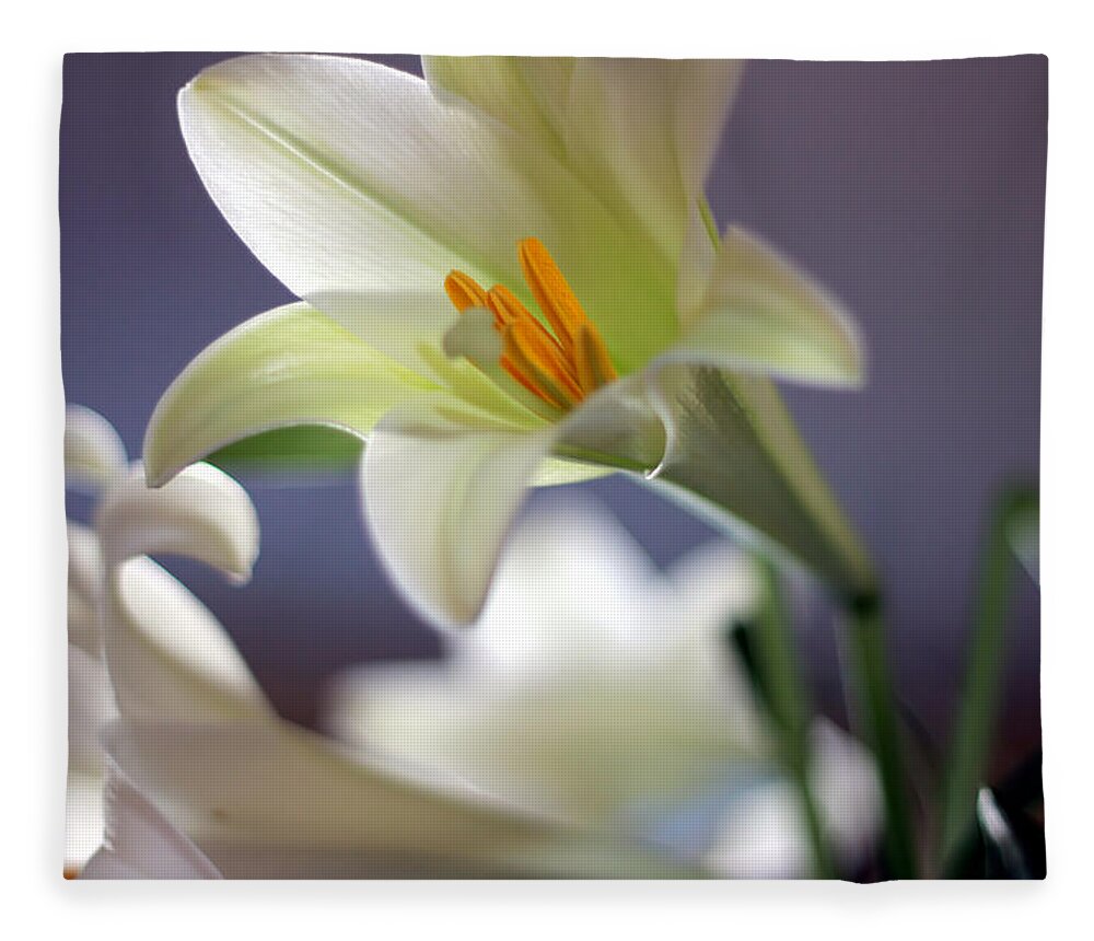 Easter Fleece Blanket featuring the photograph Easter Lilly by Randy Wehner