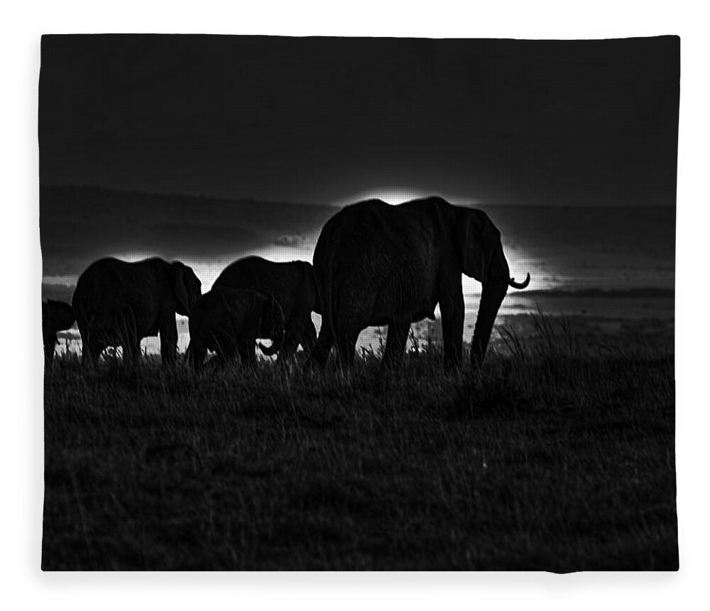 Elephant Fleece Blanket featuring the photograph Elephant Family by Aidan Moran