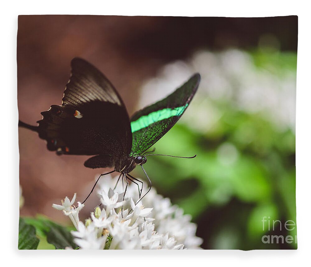 Emerald Swallowtail Butterfly Fleece Blanket featuring the photograph Emerald Swallowtail Butterfly by Tamara Becker