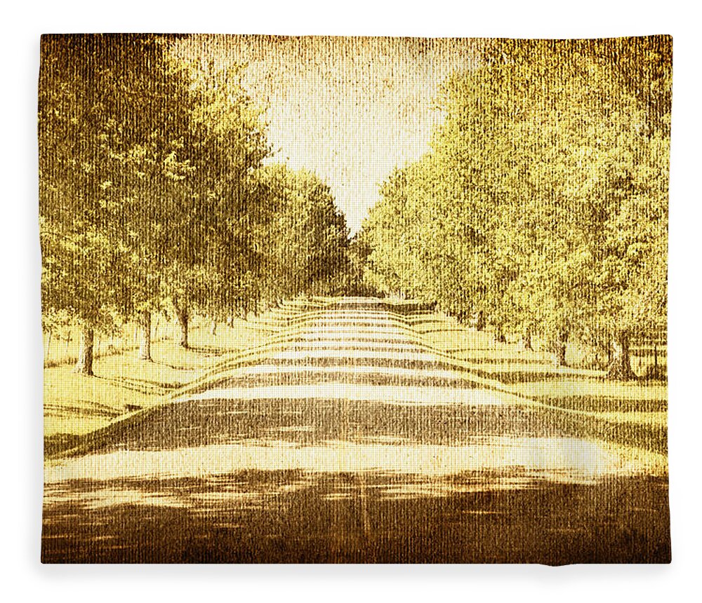 Country Road Fleece Blanket featuring the photograph Empty Road by Skip Nall