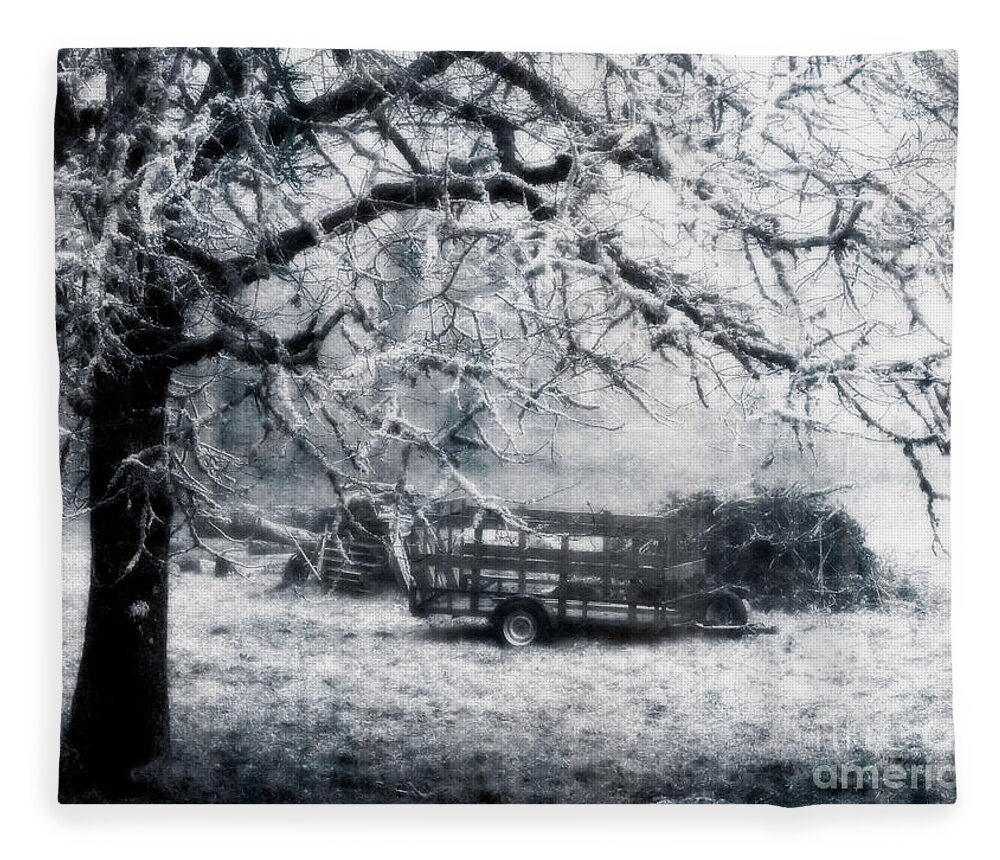 Landscape Fleece Blanket featuring the photograph Enchanted Pasture by Rory Siegel