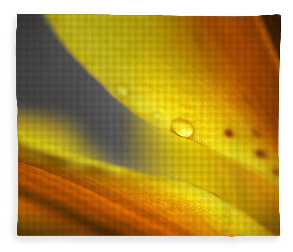 Macro Fleece Blanket featuring the photograph Enlightenment. Lily Macro by Jenny Rainbow
